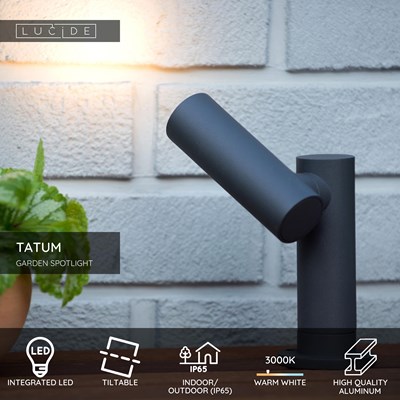 Lucide TATUM - Garden spotlight - LED - 1x5W 3000K - IP65 - Anthracite